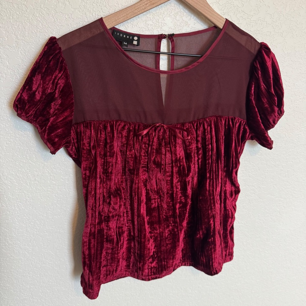 Coquette Whimsygoth Mesh Ivonne Velvet Blouse Medium Red - Picture 2 of 4